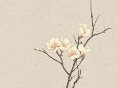 八字中胞胎是什么意思 八字胞胎的正確看法