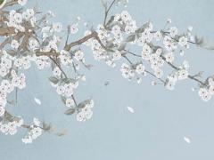 生辰八字四柱是什么 生辰八字四柱解析