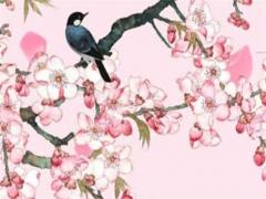 2023什么命年金木水土,2023年金木水火土五行屬什么