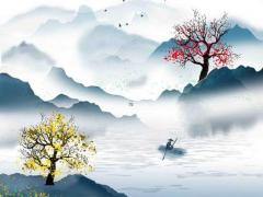 美短正八字加白是什么 美短加白八字臉怎么看