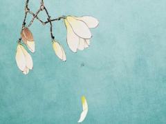 婚姻與屬相八字有什么關系 婚姻屬相八字配對大全 很準