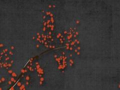 男人發現***是第一次 ***發現男人在外面還有別的女人怎么辦