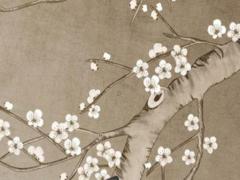 命運石之門2023年新作預(yù)告,命運石之門2025