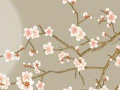 八字中的水庫是什么意思 八字里有水庫