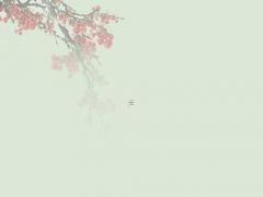 1983年屬豬的最旺抖音名,1983年屬豬起名字