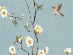 盧俊卿的幸福八字秘訣是什么 盧俊卿老家