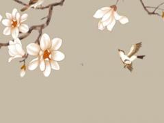 屬蛇人2023運勢大全