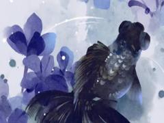 為什么明星八字不好嗎 明星為什么命好