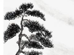 83年屬豬女的婚配,83年屬豬女婚配87年兔男好嗎