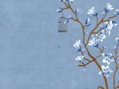 屬豬多大找對(duì)象最好,生肖豬適合多少歲結(jié)婚