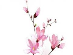 QQ非主流個性名稱精選:不愛也是一種態度