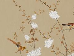 1953屬蛇的女人 1953年屬蛇人