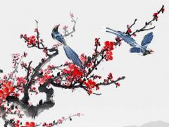 八字四柱六爻什么意思 六爻四柱八字算命