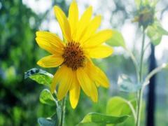 夢見算命師給我算命什么意思 夢到算命的給我算命什么意思