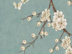 什么八字婚遲子晚 婚遲子晚的八字