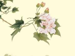 網(wǎng)上婚姻情感咨詢靠譜嗎 網(wǎng)上解決婚姻問題的機構(gòu)可靠嗎