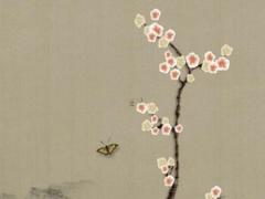 2023年屬鼠人運勢運程1972年的雞,2023年屬鼠人運勢運程如何