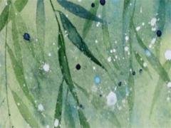 1992屬猴女婚姻怎么樣,1992年屬猴女的婚姻狀況