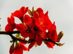 八字坤造各代表什么 八字坤造是什么