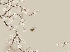 屬鼠白羊座2023年3月份運(yùn)勢(shì),2023年屬鼠白羊座