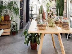 十二星座中生活能力好的都有哪些星座