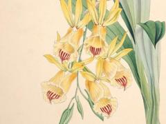 八字看什么情況下懷孕 八字看何時懷孩子