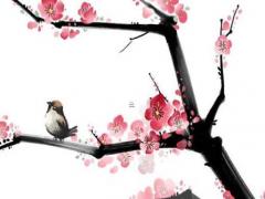 危重患者轉(zhuǎn)運存在的問題 危重患者轉(zhuǎn)運過程中的風(fēng)險