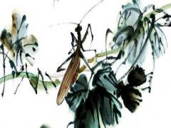 生辰八字跟什么命有關系嗎 八字和生辰八字一樣嗎