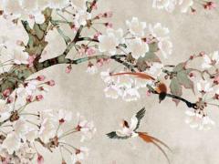 八字占是什么意思 占八字算命準(zhǔn)嗎