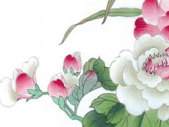 1980屬猴女2023年運勢及運程每月運程,1980屬猴2023年運勢及運程女命