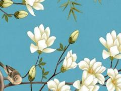 八字顏色代表什么 生辰八字顏色