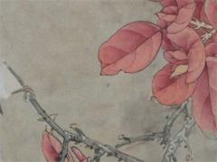 屬龍34歲今年運(yùn)勢,屬龍人34歲運(yùn)勢