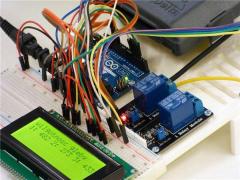 關于周公解夢夢見大河捉魚 夢見河中捉了條大魚?