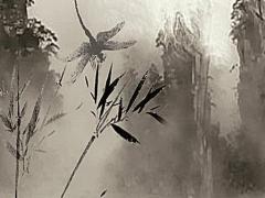 牛2023年運(yùn)勢(shì)及運(yùn)程,97年女牛2023年運(yùn)勢(shì)及運(yùn)程