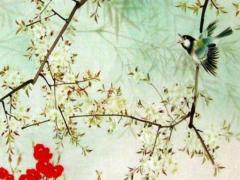 屬兔是哪一年出生的是什么星座 屬兔是哪年出生的?