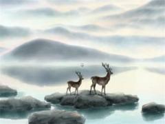 算命八字指的是什么意思 算八字是什么意思?