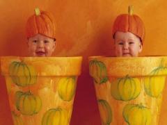 湯姓男孩取名2018屬狗 湯姓男孩子名字大全和含義