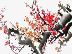 女生八字天干乙庚合會發生什么呢 女命八字天干乙庚合金