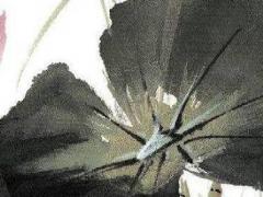 1966年的馬下半年的運氣 66年馬在2023年的下半年運勢