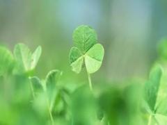 夢到自己的船被大船撞撞翻了 夢見船被撞壞自己在船上沒受傷