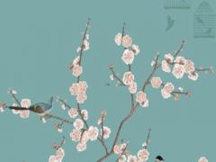 2023年屬兔命運(yùn)怎么樣呢女孩