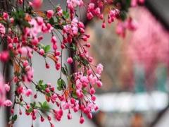 敖姓歷史名人 敖姓歷史人物