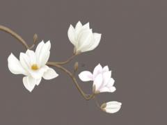 八字食神傷官代表什么意思梁湘潤 食神傷官的作用