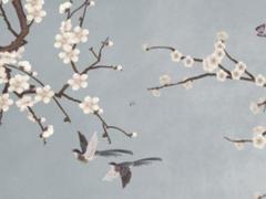 84年屬鼠婚配,84年老鼠婚配