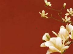 運(yùn)氣背到離譜是怎么回事 運(yùn)氣一直很背怎么轉(zhuǎn)運(yùn)