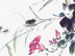 編織手鏈本命年兔子能戴嗎,本命年兔戴什么轉運