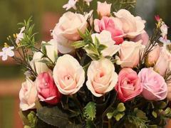 揭秘處女座的xingai特質