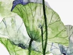 女人八字沒官殺意味著什么 女命八字沒有官