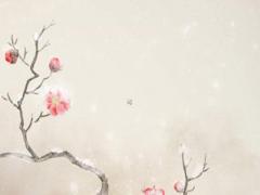 什么八字女命心胸狹窄 心胸狹窄的女人什么意思