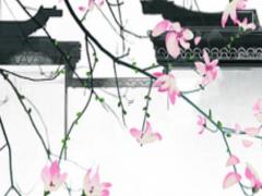 姓名五格數(shù)理測(cè)試 姓名測(cè)試五格算命